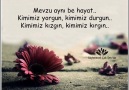 HER ŞEYE DAİR - 4 ( )