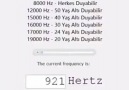 19000 hertz e kadar duyan var mı