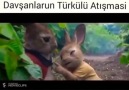Herufum...