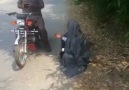 Her zaman iyilik yapan iyilik bulmaz haha:))