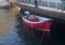 Heyecanlı bir operasyon ve mutlu son.... - Beykoz Belediyesi