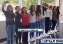 hey maşallah kardeşlerimize her bijKÜRT HALAY DÜNYASI