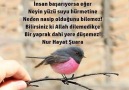 Hiç bir zaman böbürlenme !.. Nur Hayat Şuara