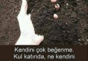 Hiç Soruyormuyuz KendimizeFe eyne TezhebunBu Gidiş Nereye