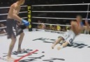 High kick KO