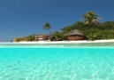 High tides and good vibes Repost... - Maldives Insider