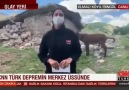 Hilal Nesin - Çok affedersiniz. Eşeğin s.ki bile CNN Türk&çıkıyor ama muhalifler çıkamıyor.