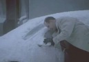 Hilarious Arctic Commercial