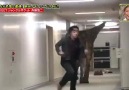 Hilarious Japanese Dinosaur Prank