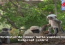 Hindistan'da Geçen  Hafta  Yapılan Bir Belgesel  Çekimi