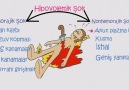 Hipovolemik Şok - EKG ve Güncel Protokoller