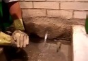 Hızlı Donan Çimento