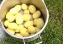 Hızlı Patates Temizleme Yöntemi