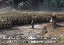 Hobbit Beş Ordunun Savaşı Kesilmiş Sahneler - Elfler vs Cüceler