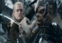 Hobbit Beş Ordunun Savaşı Legolas vs. Bolg
