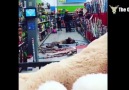 Hobi olarak yüzüstü düşen kız :)
