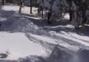 Holiday Ski Fails