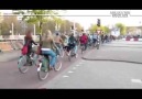 Hollanda'da bisiklete binen Ankaralı