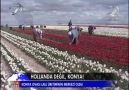 Hollanda değil KONYA!