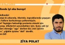 Hollanda iyi oku burayı!Ziya Polat - Diriliş Postası