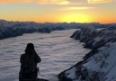 Holy Cow! Above the Clouds! Swiss Alps &