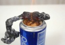 Homemade Fire Snake