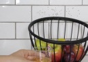 Homemade Fruit Fly Trap