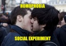 Homophobia Social Experiment