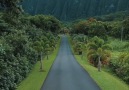 Hoomaluhia Botanical Park on Oahu