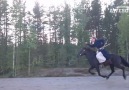 Horseback Archery