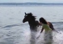 Horses & Freedom - My beautiful friend Facebook