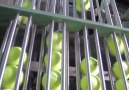 How are made tennis balls