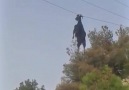 How can this goat be hanging from the power lineCredit Newsflare