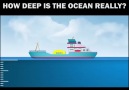 How Deep Is The Ocean Really? ᴷᴬ