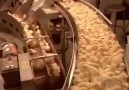 How it's Made Chick