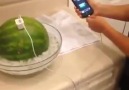 How to charge a phone with a watermelon!