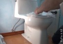 How To Install A New Toilet Yt