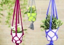 How to make a cool plant hanger from an old T-shirt.bit.ly2l3HA0a