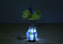 !How to Make a Light Bulb Vase ...