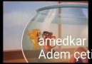 Hozan Aydın-mışke korBu şarkıyla video uydumu(Yorumunuzu beliyorum)