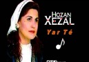 HOZAN XEZAL - YAR Té