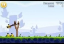 Hüloooğğğğğğ Teyze - Angry Birds Edition
