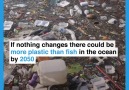 Humanity 287 million tonnes.Plastic 311 million tonnes.Read more