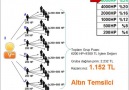 HuncaLife Kazanç Planı