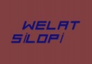 HUNERMENT WELAT SİLOPİ