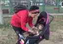 Hurriyet.com.tr - Felçli köpeğini bebek arabasıyla gezdiriyor Facebook