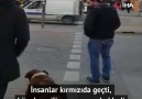 Hurriyet.com.tr - Köpekten insanlara trafik dersi Facebook