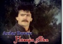 Hüseyin Altın - Acılar Duvarı - 1984