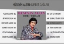 Hüseyin Altın - Sevgilim Aldattı