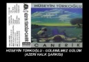 HÜSEYİN TÜRKOĞLU - GÜLEBİLMEZ GÜLÜM